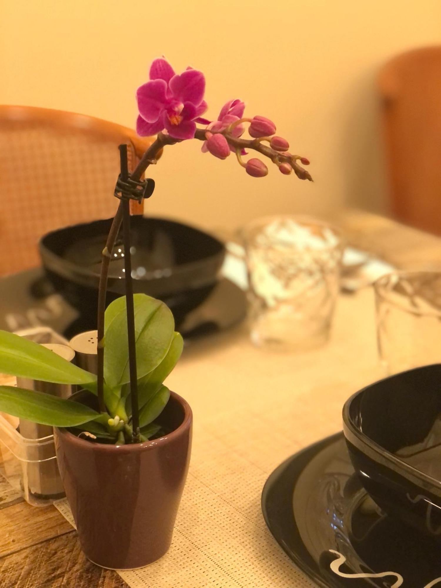 Serenity B&B 브레시아 외부 사진